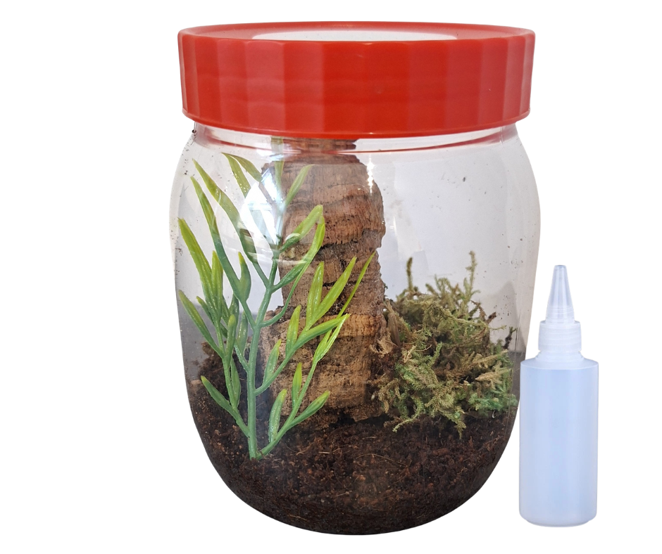 Arboreal start up kit (500ml)