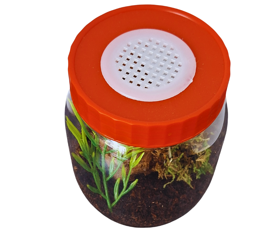 Arboreal start up kit (500ml) - Image 2