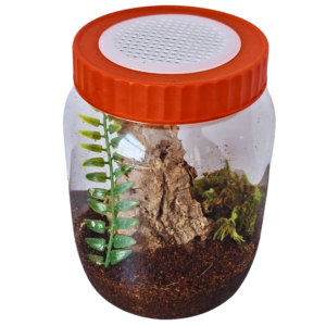 Arboreal start up kit (1000ml)