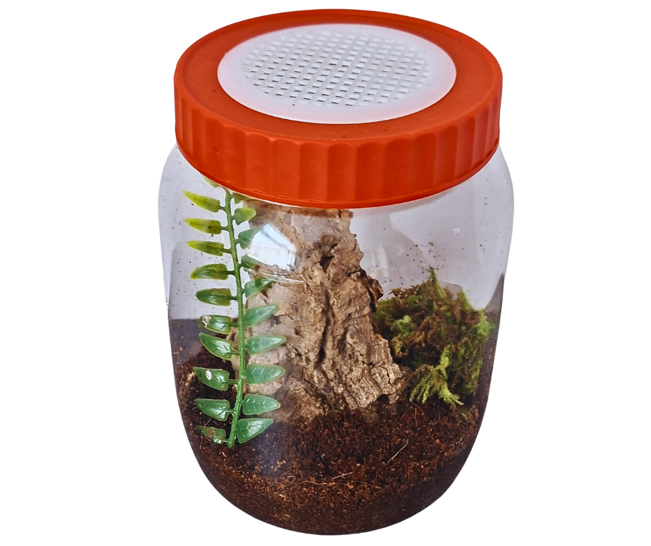 Arboreal start up kit (1000ml)