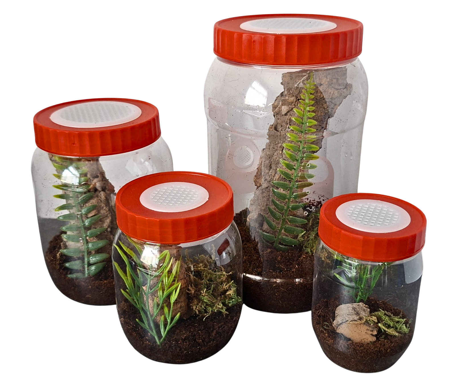 Arboreal start up kit (500ml) - Image 4