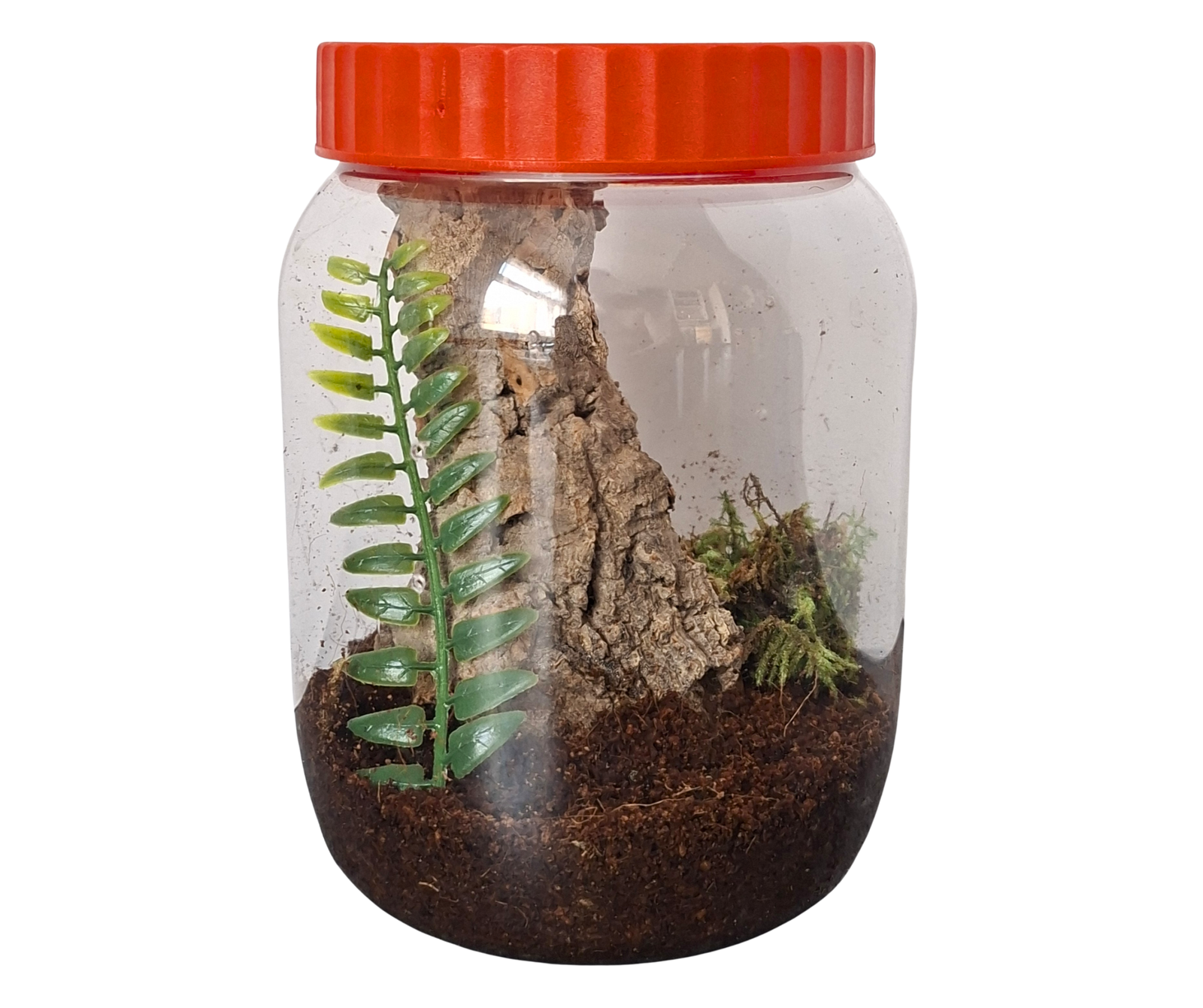 Arboreal start up kit (1000ml) - Image 2