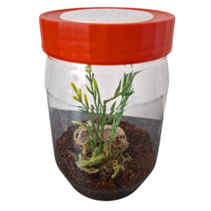 Arboreal start up kit (300ml)