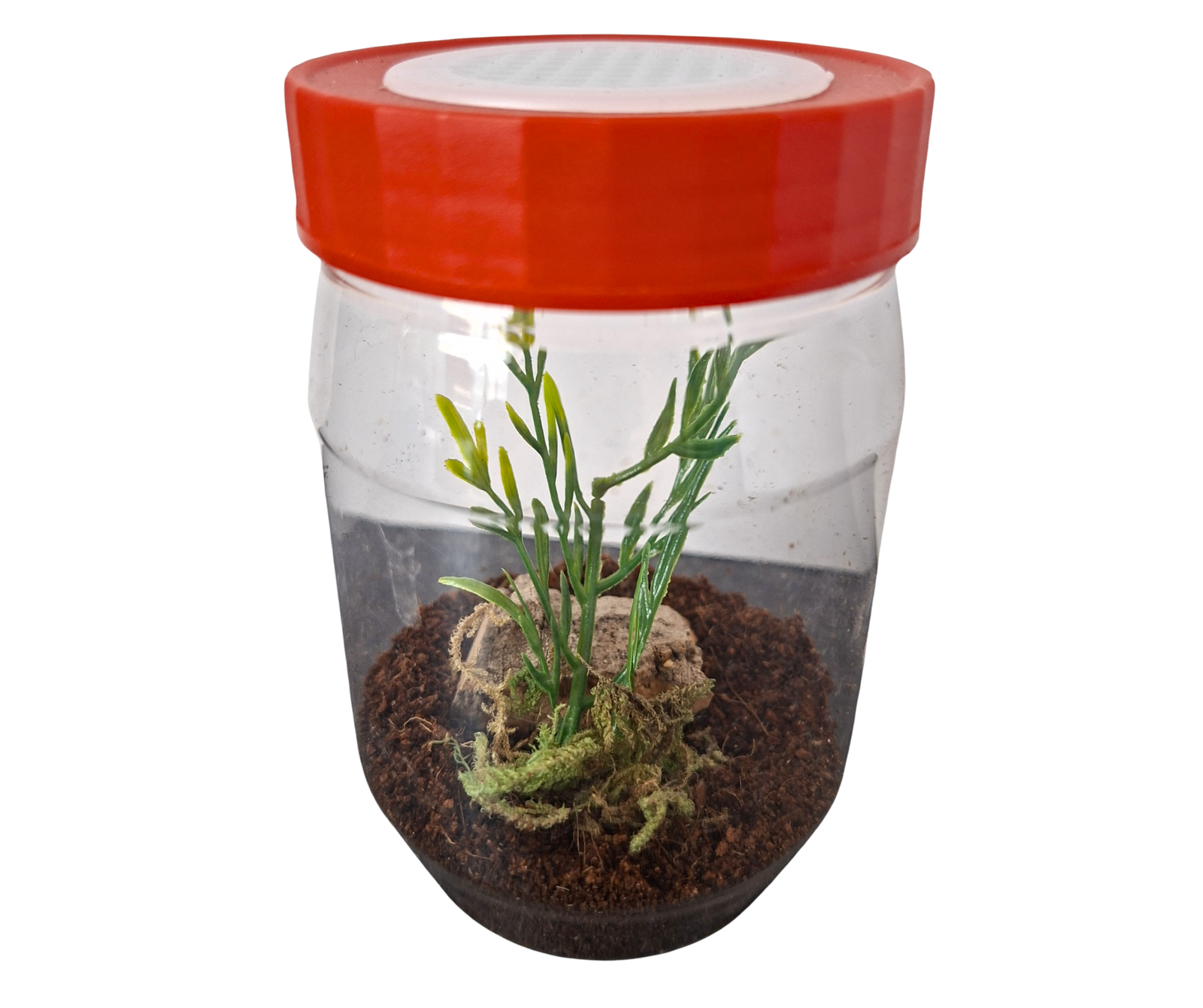 Arboreal start up kit (300ml)