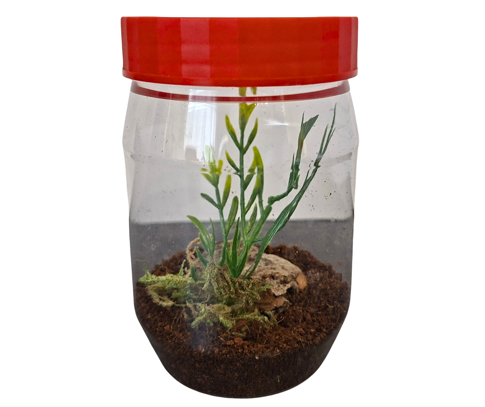 Arboreal start up kit (300ml) - Image 2