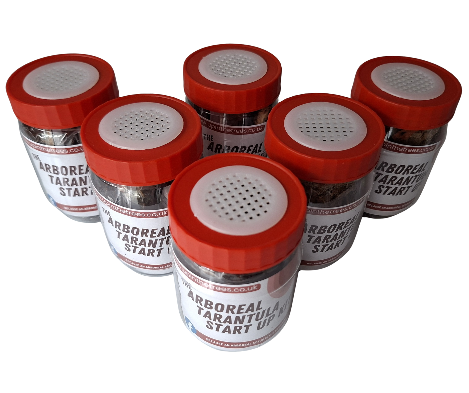 Arboreal start up kit (300ml) - Image 3