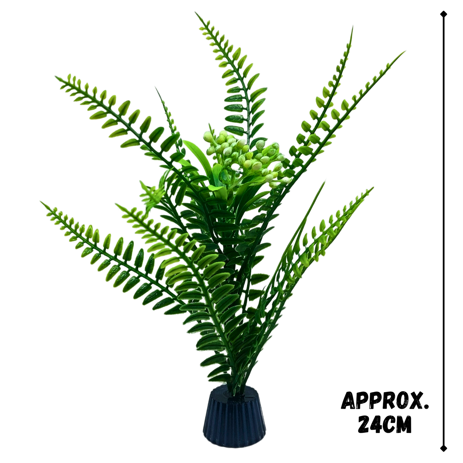 Green berry fern - Image 2