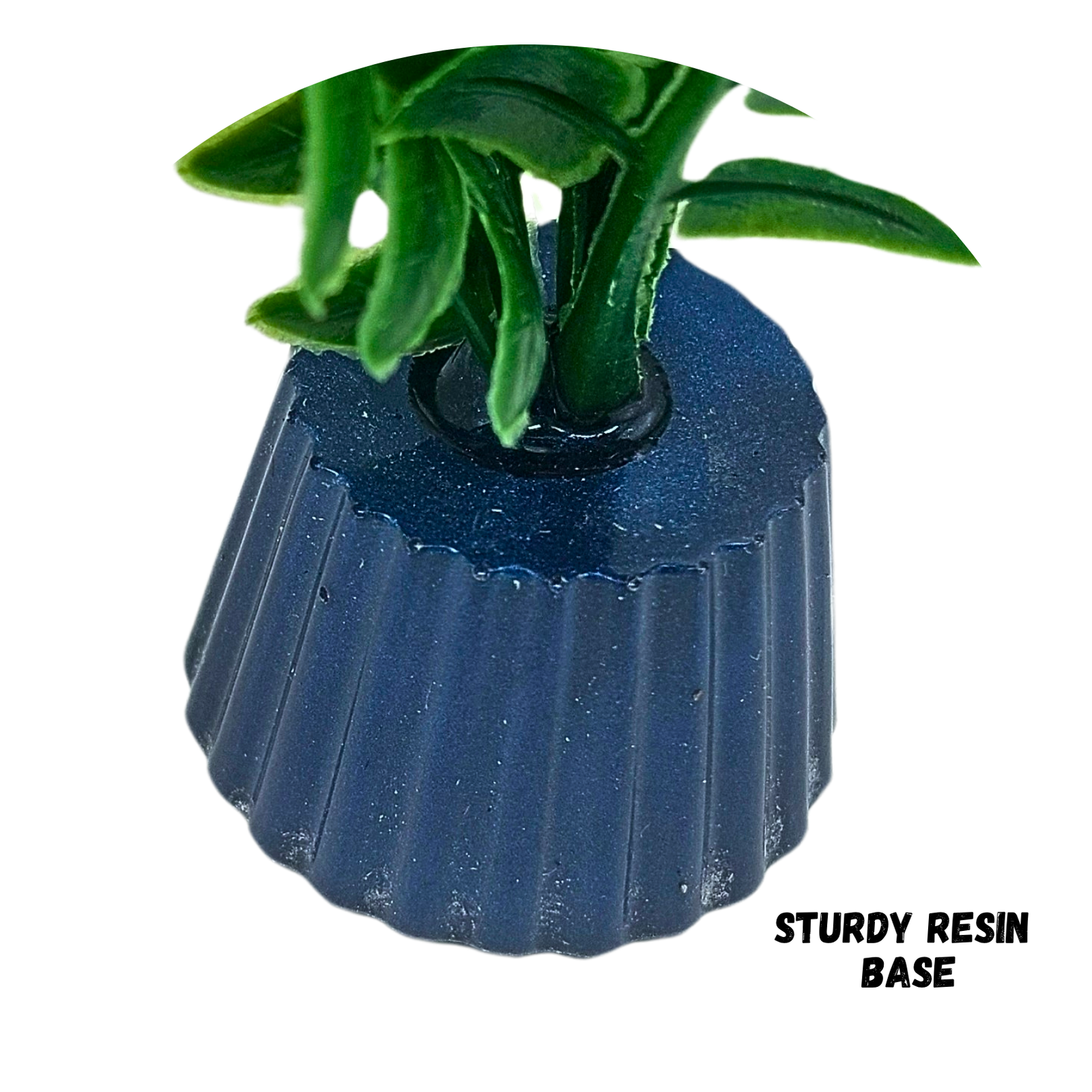 Green berry fern - Image 4