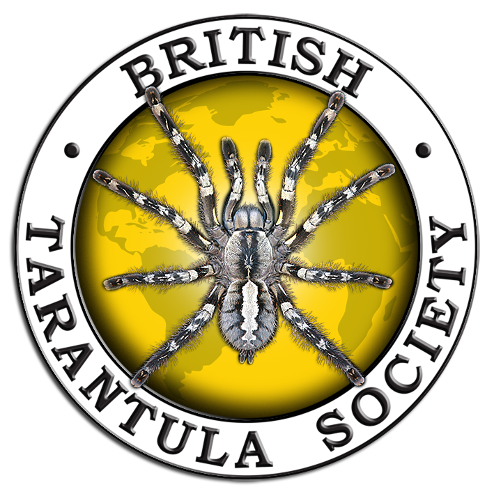 british tarantula society