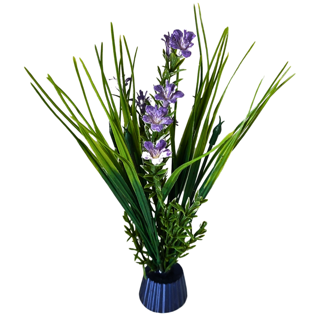Large Purple Flowered Grass.