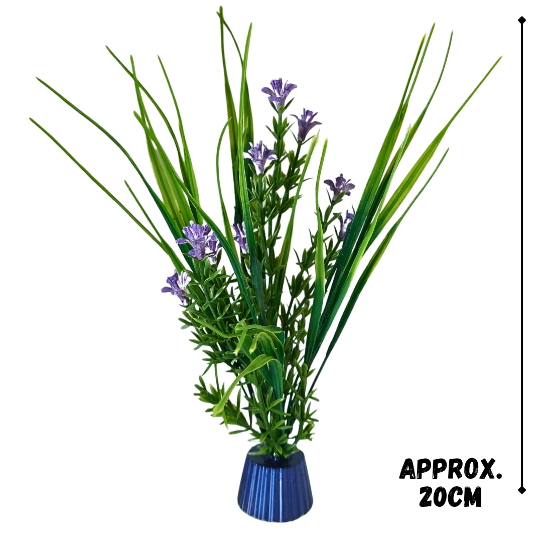 Large Purple Flowered Grass. - Image 2