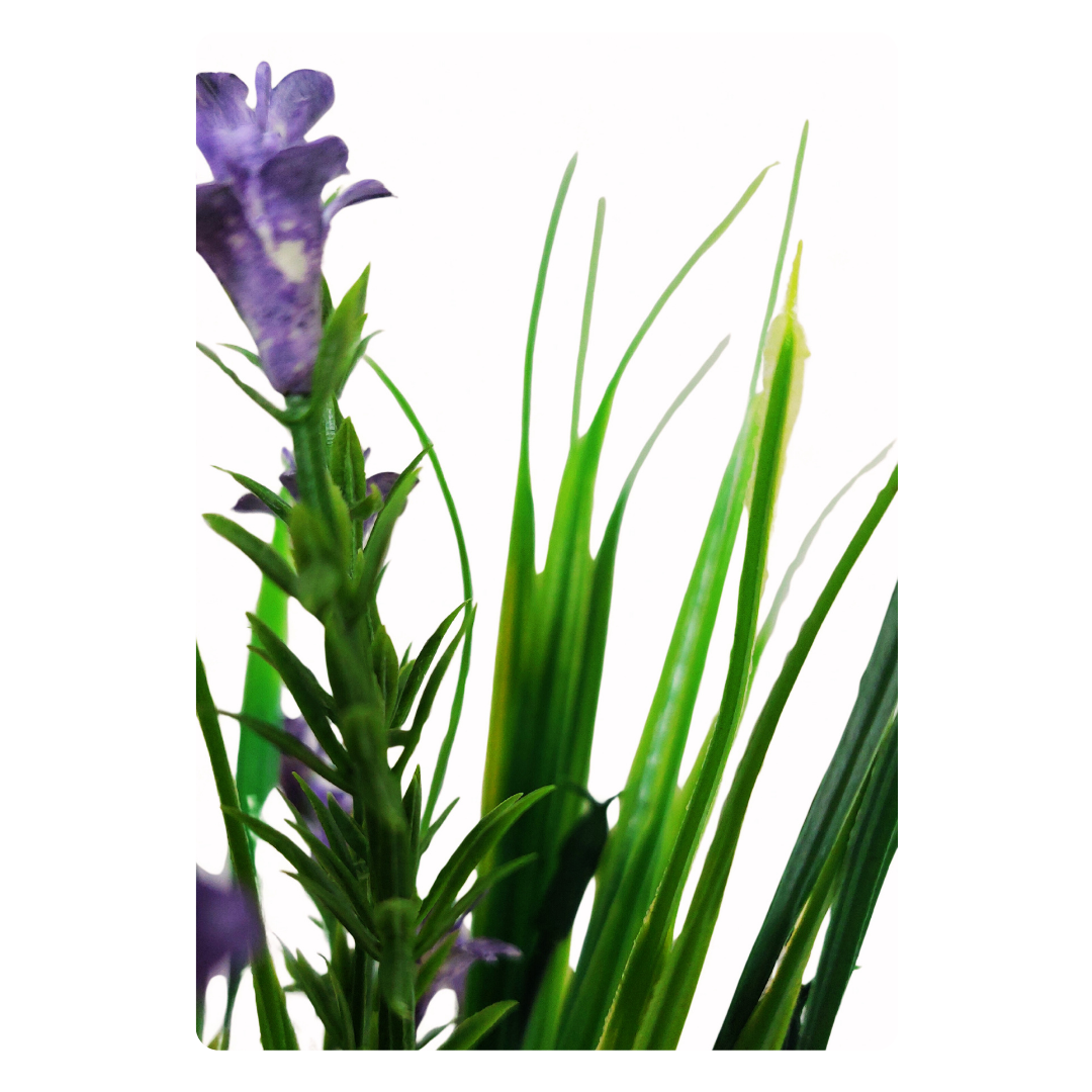 Large Purple Flowered Grass. - Image 3