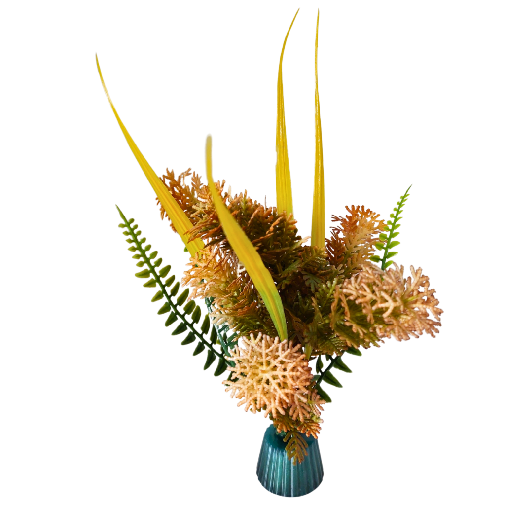 Orange bloom fern