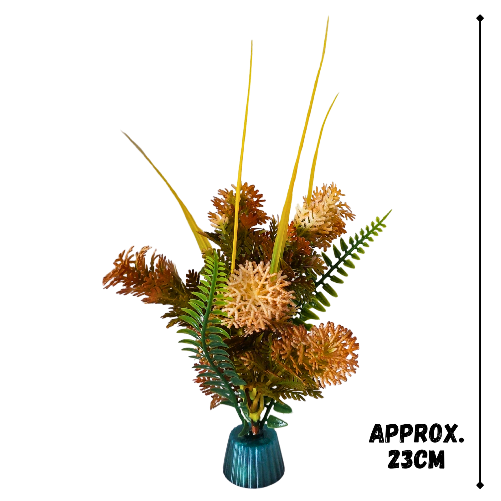Orange bloom fern - Image 2