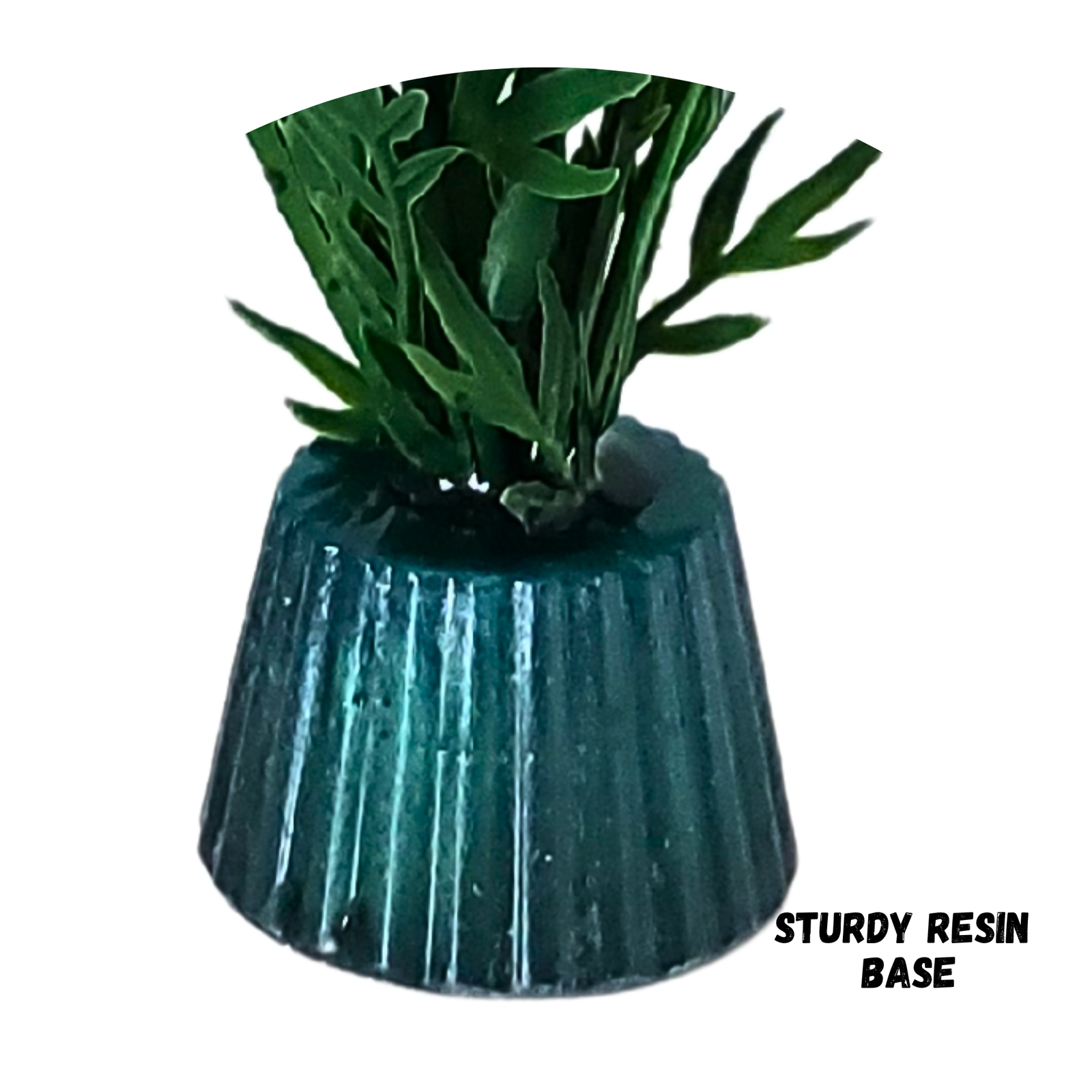 Orange bloom fern - Image 4