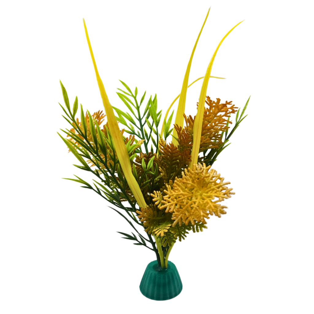Orange bloom bush-small