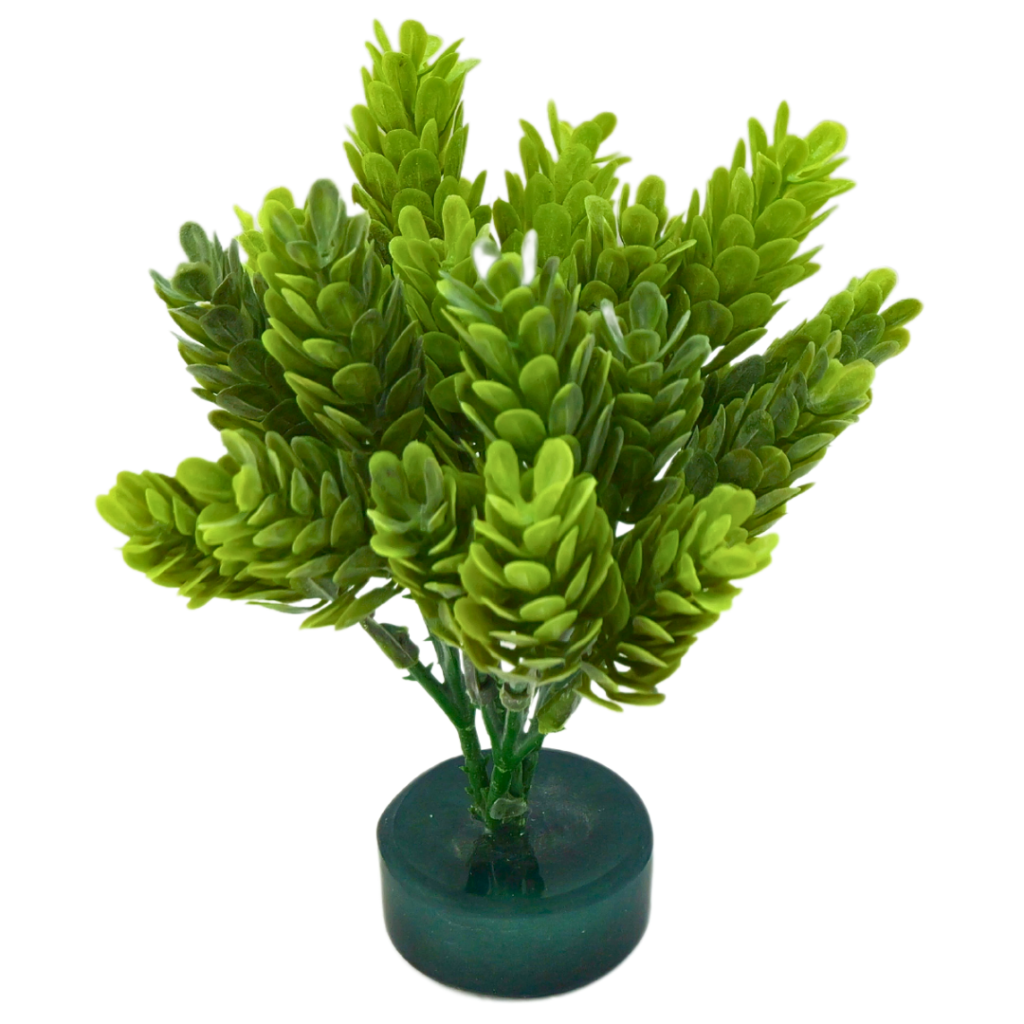 Green hopps plant
