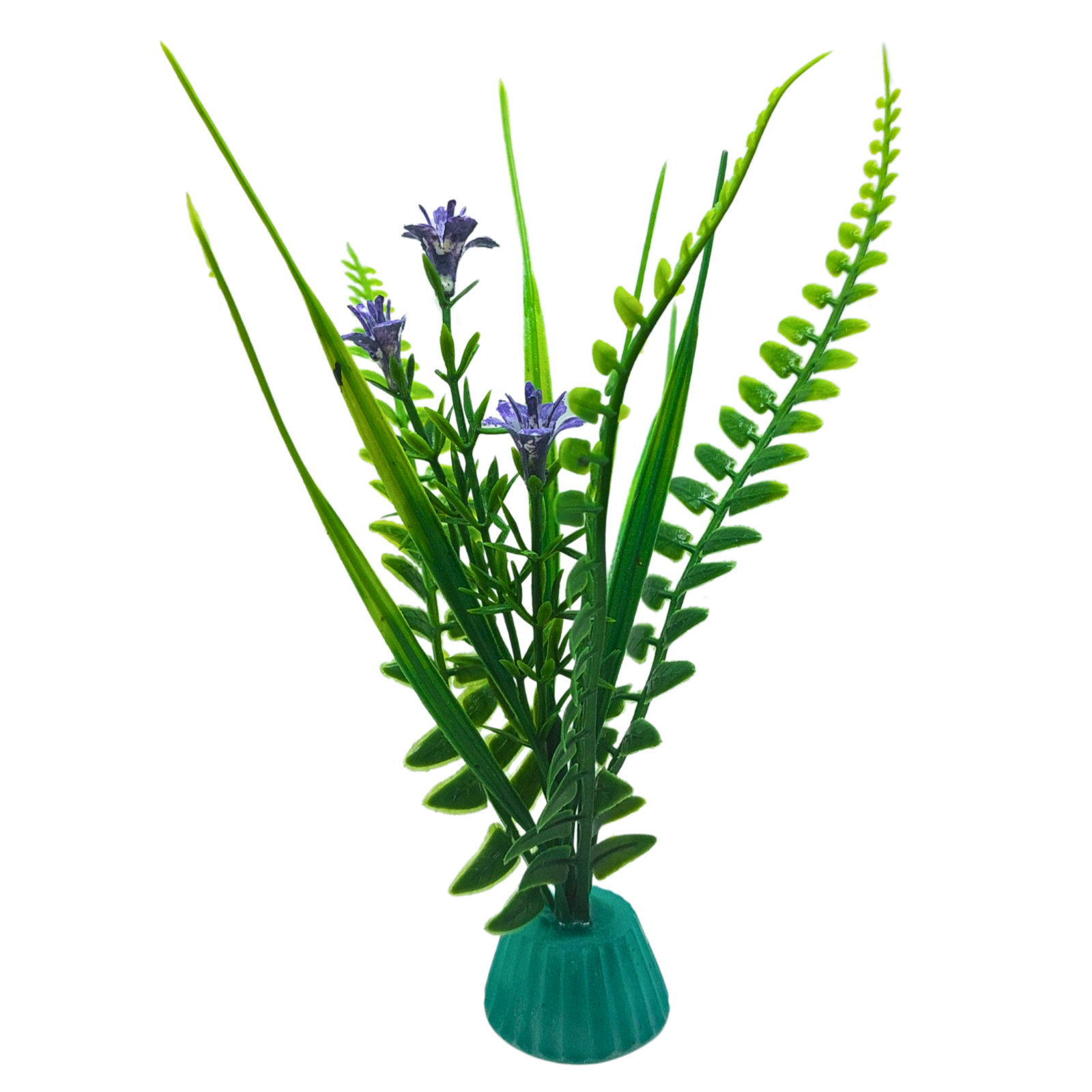 Purple Flowered Fern