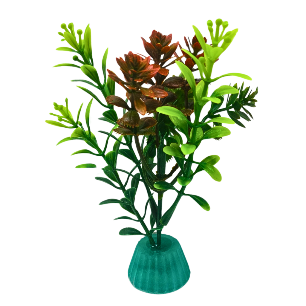 Rustic green shrub