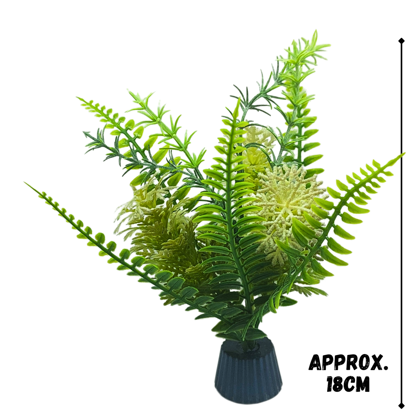 Yellow bloom fern - Image 2