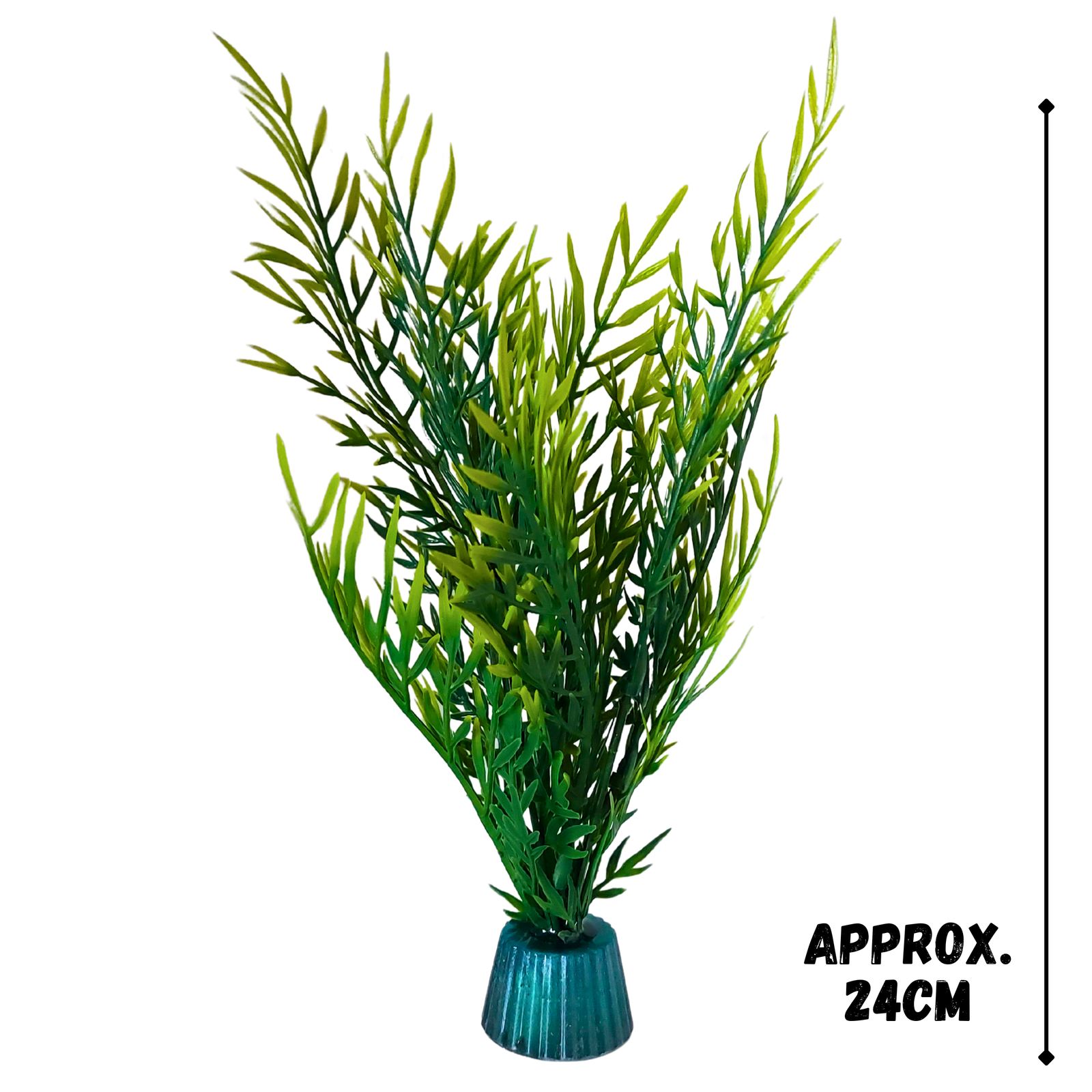 Green bushy fern - Image 2