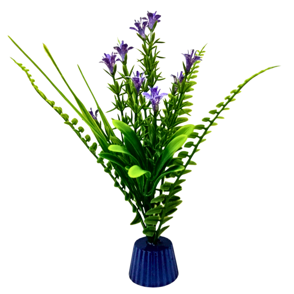 Large Purple Flowered Fern
